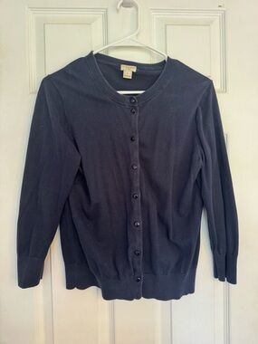 JCrew Factory Cardigan (large)